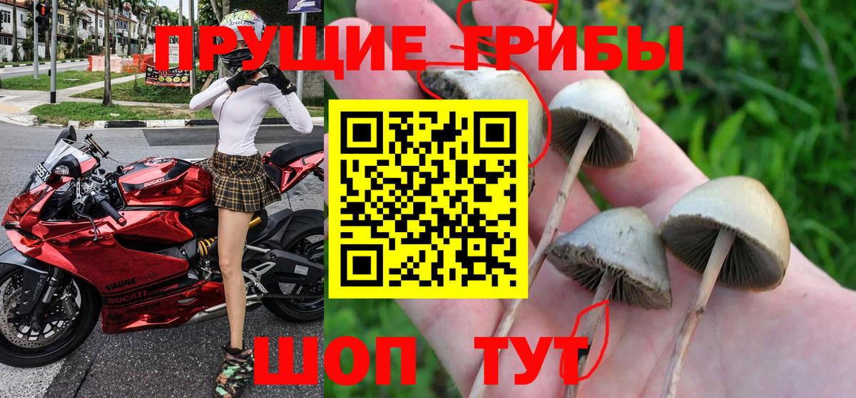Орёл  Галлюциногенные грибы мухоморы  Вход с VPN 